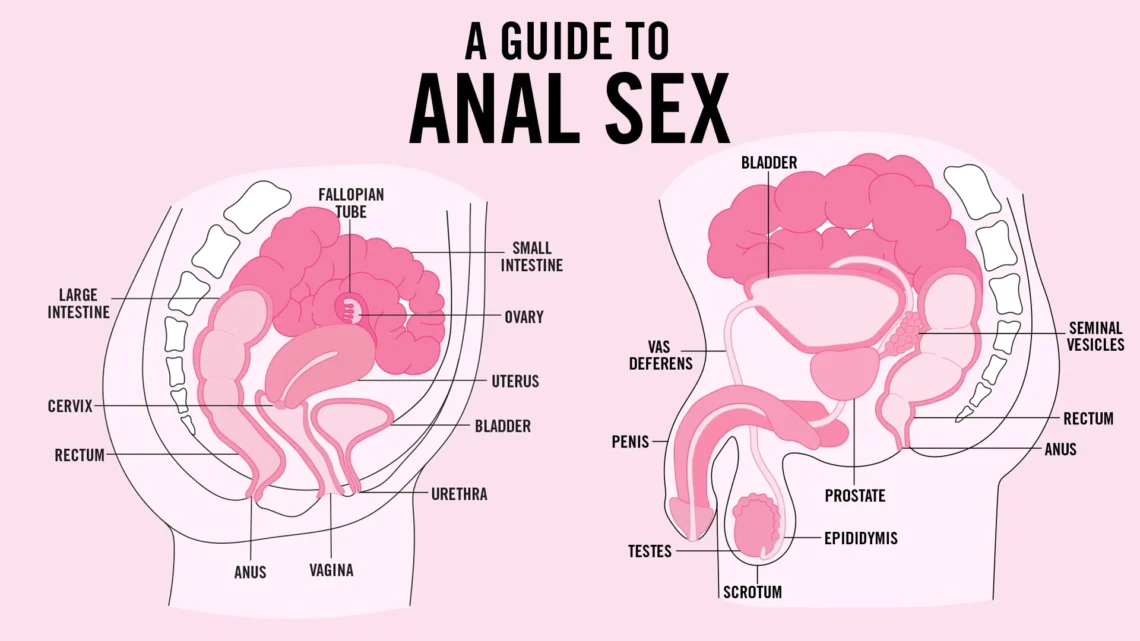 anal sex